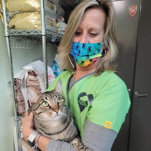 Pet Wellness Care in Lake Worth