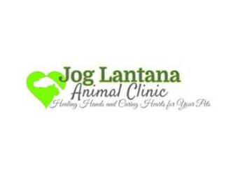 Understanding Spaying & Neutering With Our Pet Surgeon In Lake Worth Fl
