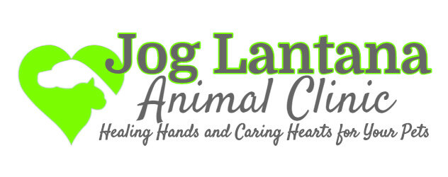 Jog Lantana Animal Clinic - Lake Worth Veterinarians