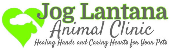 Jog Lantana Animal Clinic